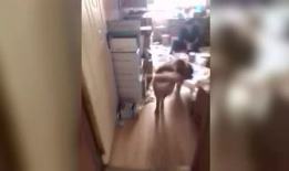 污视频在线观看网站,污视频在线观看网站的隐秘世界