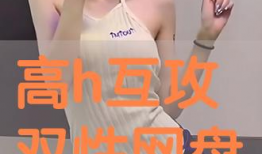 h动漫在线,探索奇幻世界，畅游青春记忆